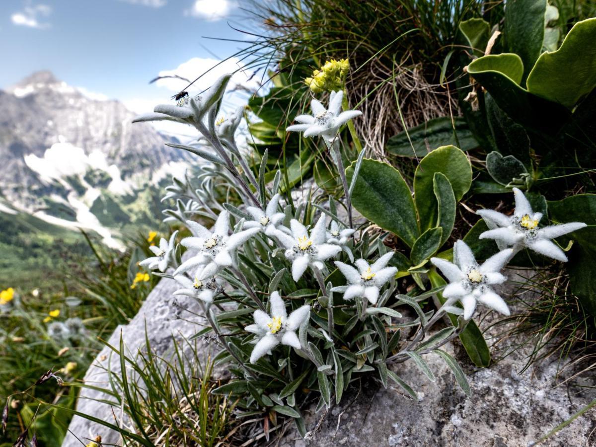 Das Naturhotel Die Eng Hinterriss Bagian luar foto